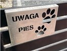 Tabliczka Uwaga Pies